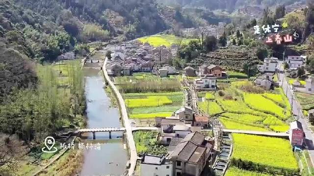 安徽休宁赏呈村油菜花品板桥泉水鱼位于黄山市休宁县的板桥乡