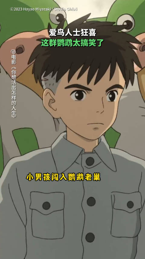鹦鹉兄弟你好香你想活出怎样的人生