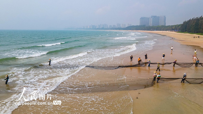海南琼海:拉网赶海 乐享春光|海南省|琼海市|博鳌_新浪新闻