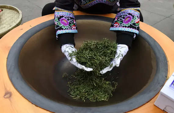 世界茶源地普安探秘风暖春山早茶香