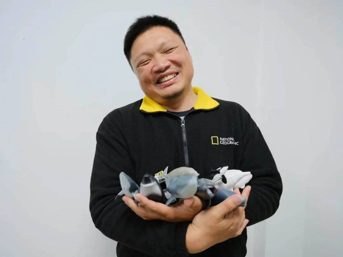 涠洲岛"网红鲸",与追逐它的人|斜阳岛|陈默|帆船_新浪新闻