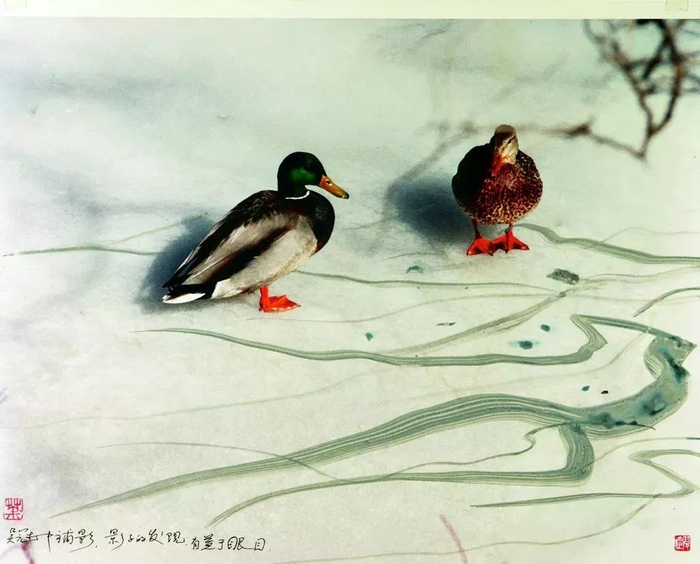 摄影大师陈复礼作品,影响几代中国摄影人!|香港_新浪新闻