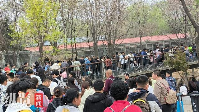 清明假期石家庄市动物园接待游客123073人次植物园接待游客174390人次