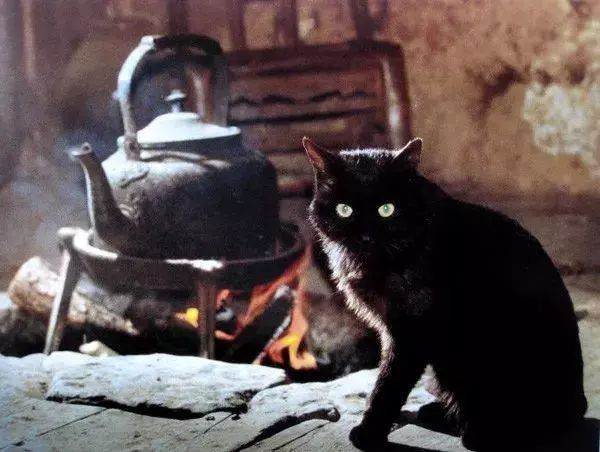 摄影大师陈复礼作品,影响几代中国摄影人!|香港_新浪新闻