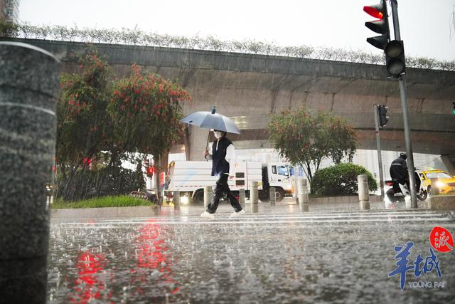 图集|广州暴雨来袭|暴雨|强降雨|积水_新浪新闻