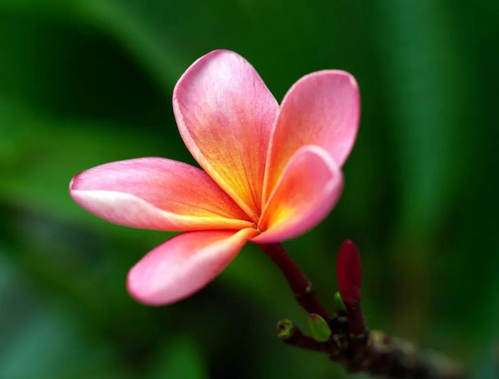 镜头|摄影|佳能_新浪新闻