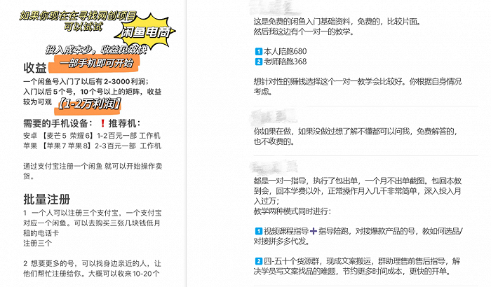 蔡文军的闲鱼培训内容