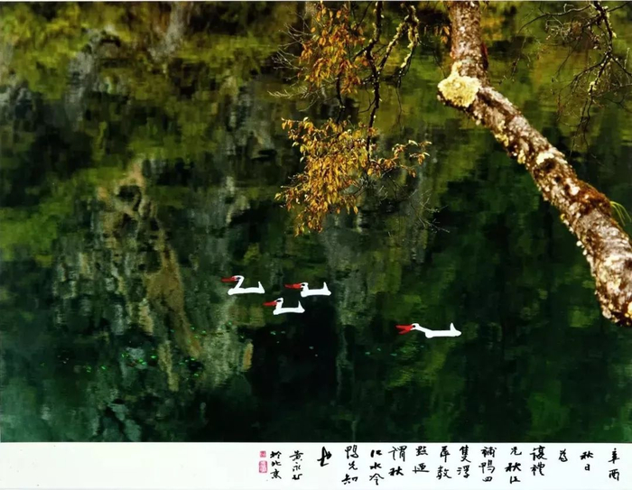 摄影大师陈复礼作品,影响几代中国摄影人!|香港_新浪新闻