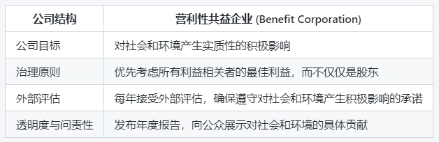 xAI的治理结构细节