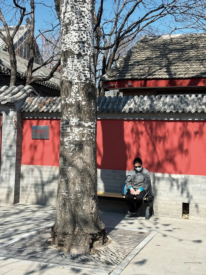 长椅上闭目养神的人。（图/李靖越）
