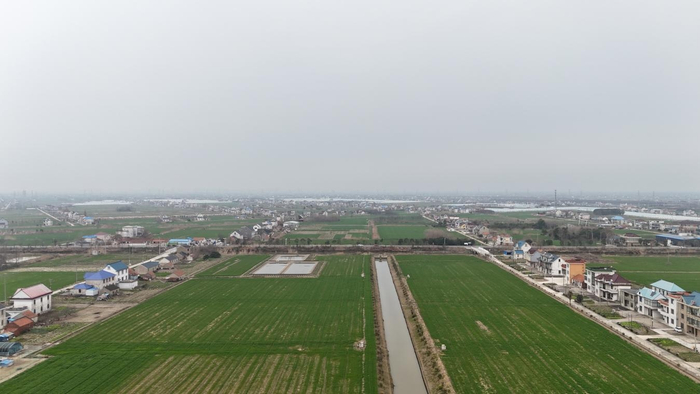 南通市如东县长沙镇:空间善"治"善成乡村越"理"越靓|农村|如东县|南通