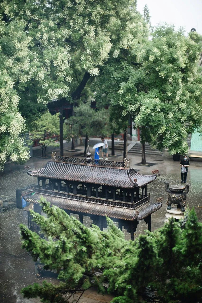 北京中产的心里话白云观都知道