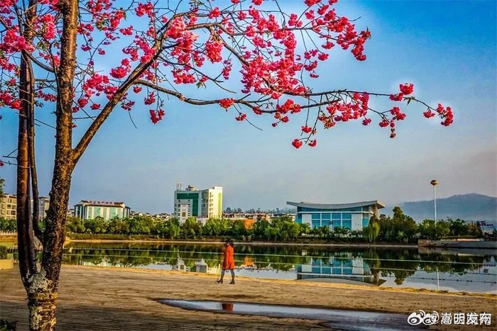 牟定化湖美景醉游人|楚雄彝族自治州|云南省_新浪新闻