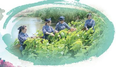 蚕桑农文旅融合发展呈现勃勃生机|人民日报_新浪新闻