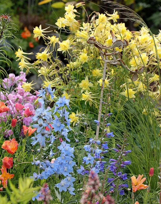 混合花境的制作要点和常用花卉,统统打包给你!|玫瑰_新浪新闻