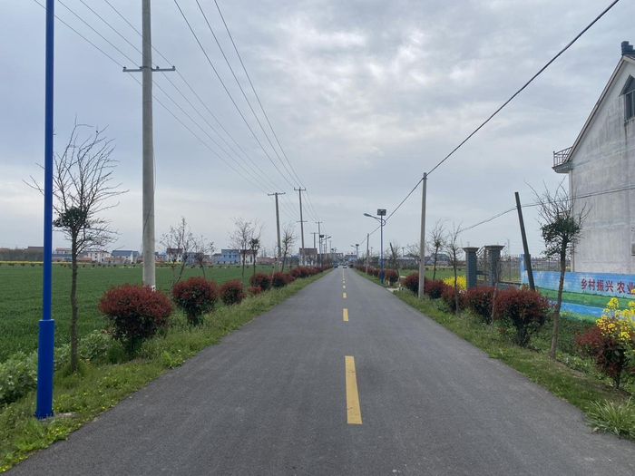 南通市如东县长沙镇:空间善"治"善成乡村越"理"越靓|农村|如东县|南通