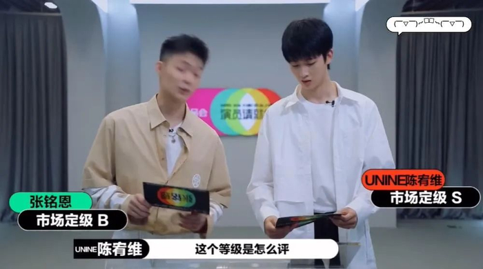 而像倪虹洁,温峥嵘等演技扎实的实力派,却只能拿到最次的b级.