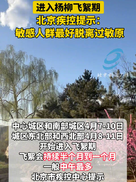 进入杨柳飞絮期北京疾控提示飞絮期敏感人群最好脱离_