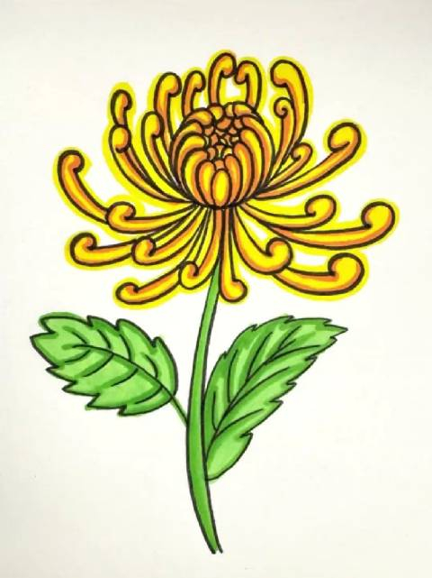 用数字6画菊花也太简单了