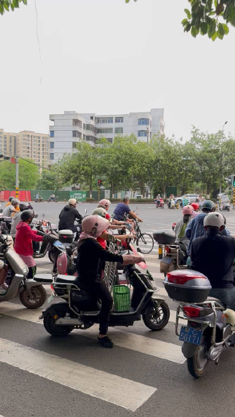 一早来鱼市买新鲜海鱼对海口电动车之多真是眼见为实