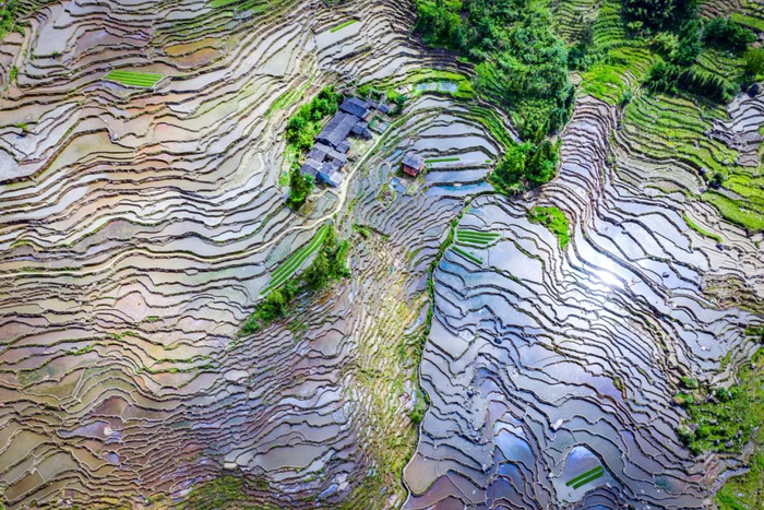 张家界|梯田|紫鹊界梯田