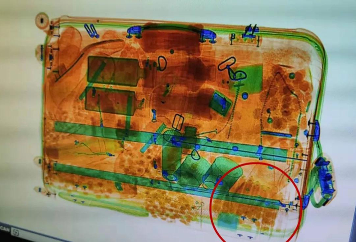 箱子中的肉肠清晰可见  图源：上海发布