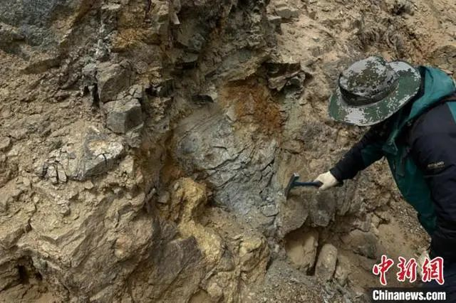 图为青海省柴达木南北缘大型超大型金矿深部资源预测研究项目组正在开展野外勘测。王斌 摄