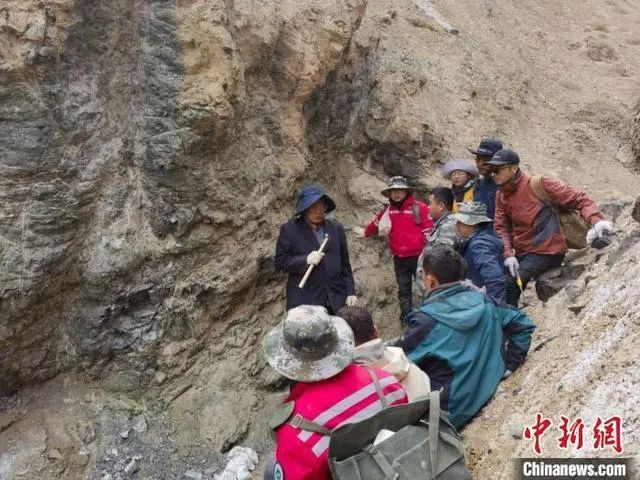 图为青海省柴达木南北缘大型超大型金矿深部资源预测研究项目组正在开展野外勘测。王斌 摄