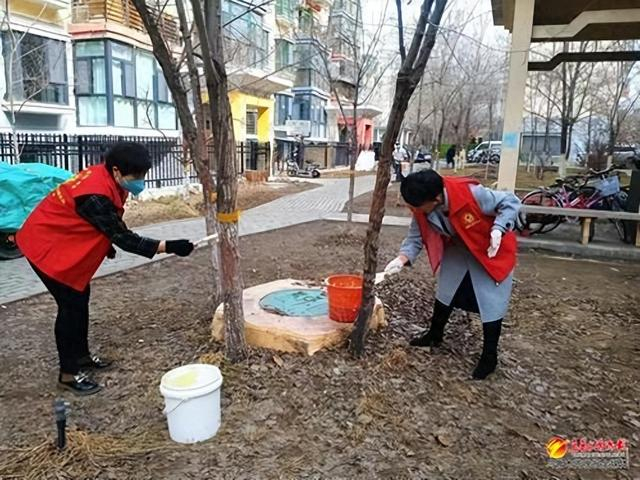 晚报融媒帮您办背街小巷环境卫生大整治