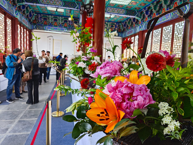 花开盛世2024中国牡丹之都菏泽全国牡丹赛花会开幕全国900余件牡丹