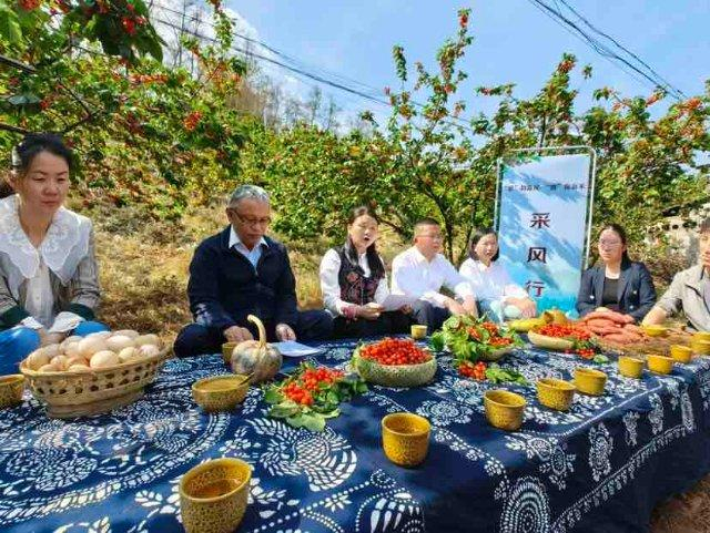 昆明富民樱桃熟了|云南|鹫|昆明_新浪新闻