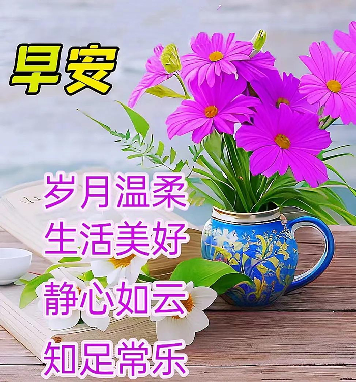 2024年4月8日最新早上好祝福语图片大全 今日精选早安问候祝福图片带