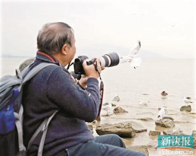 打雀人讲述绿美广州的故事
