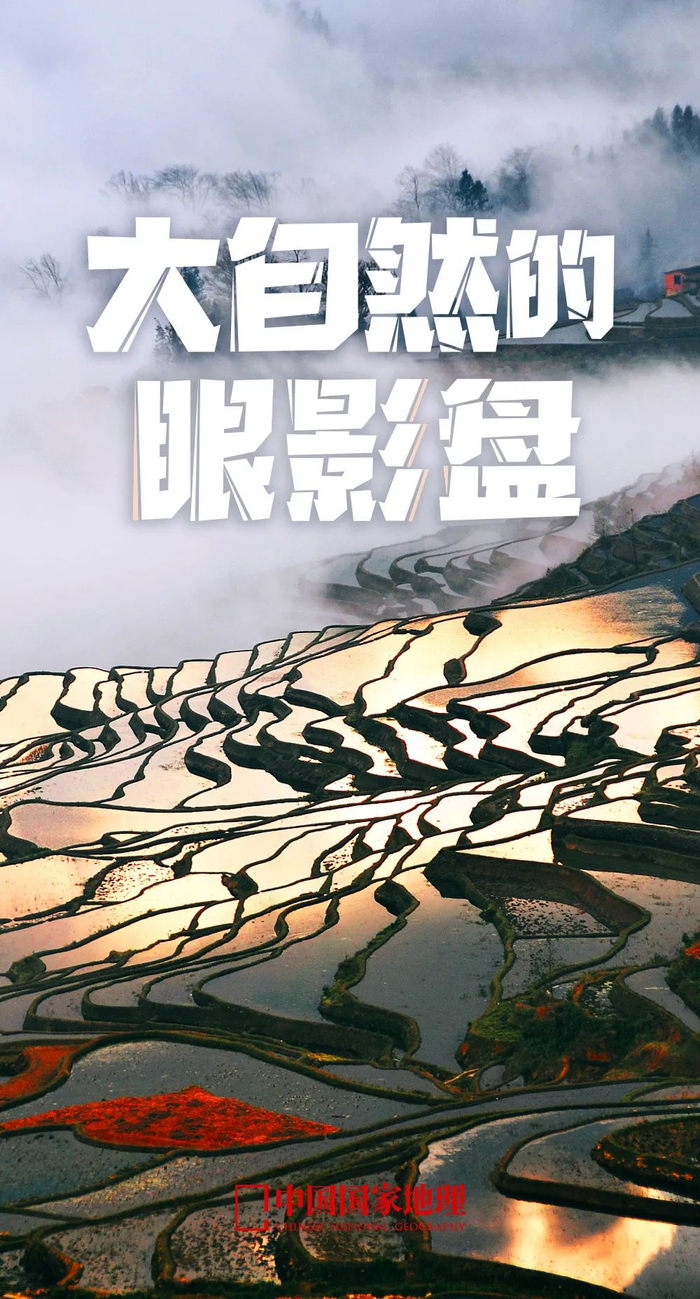 中国最美梯田你去过几个