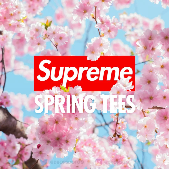 supreme「春季限定t恤」 新联名计划,曝光了!