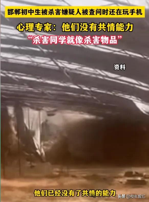 真相水落石出！巴基斯坦大巴案凶手被捕，赵立坚：严惩凶手