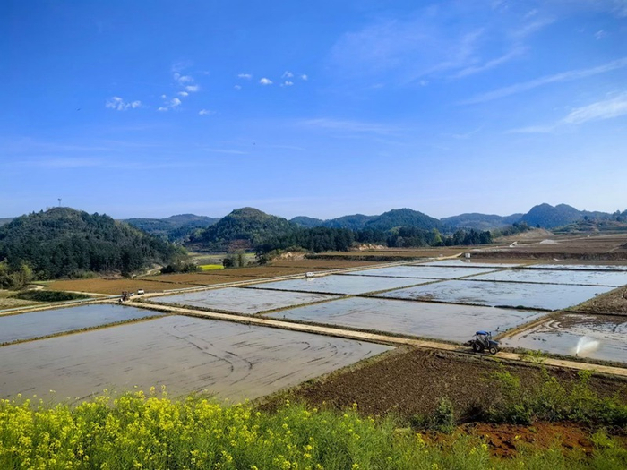 开阳县宅吉乡:高标准农田灌溉忙 夯实粮仓"耕"基|良田|高标准农田