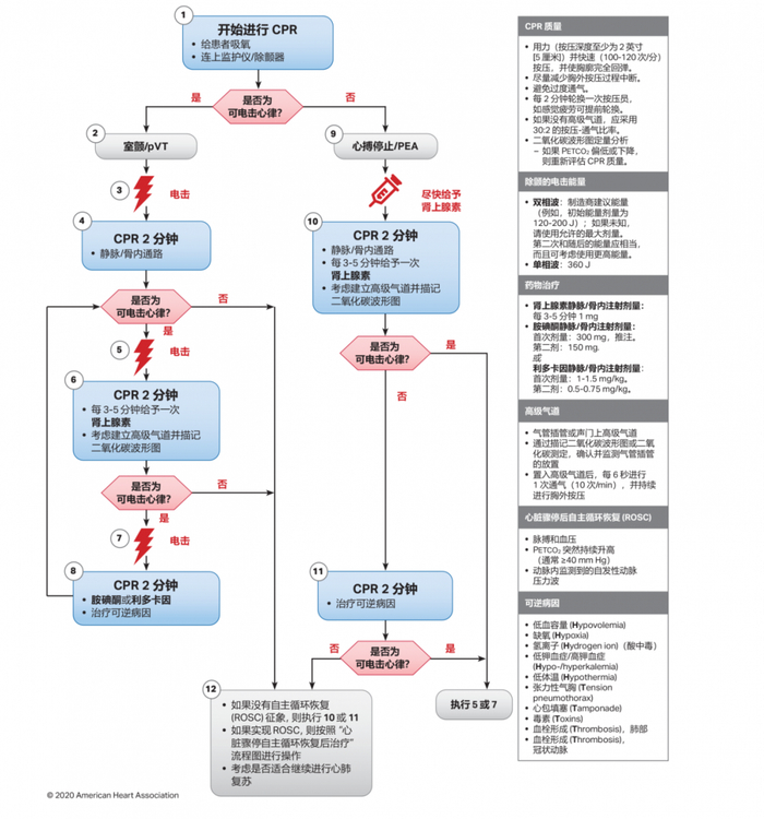 除颤仪该如何正确使用
