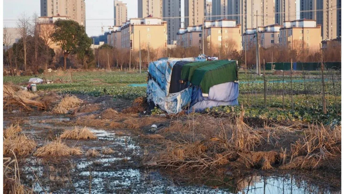 他穿着蓝灰色的棉袄棉裤,戴着黑色的尖顶毛线帽,似乎还戴着一副浅灰色