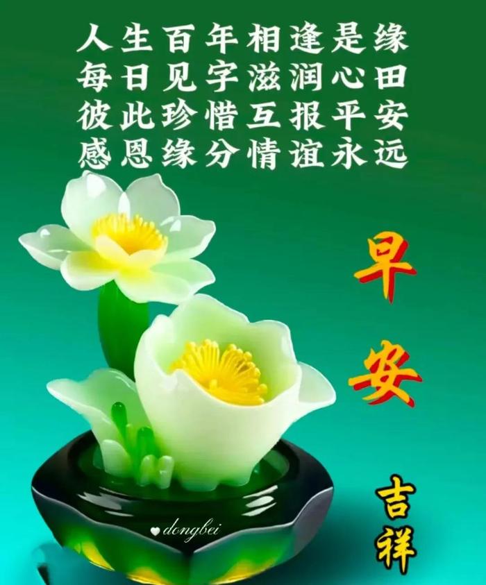 年4月8日最新早上好祝福语图片大全 今日精选早安问候祝福图片带字