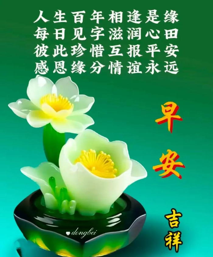 2024年4月8日最新早上好祝福语图片大全 今日精选早安问候祝福图片带