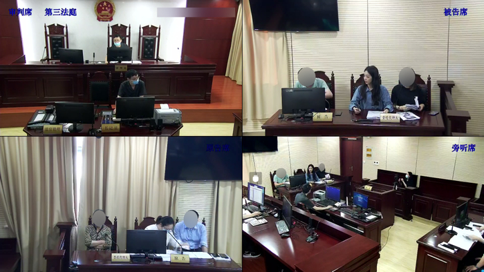 燕某与韦某之间的部分聊天记录截图 本文图片均为 上海奉贤法院 提供