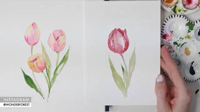 水彩初学者郁金香示范分享