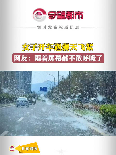 女子开车遇漫天飞絮网友隔着屏幕都不敢呼吸了