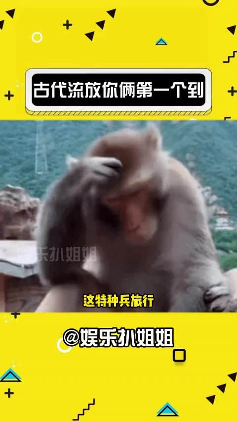 要是流放你俩肯定第一个到