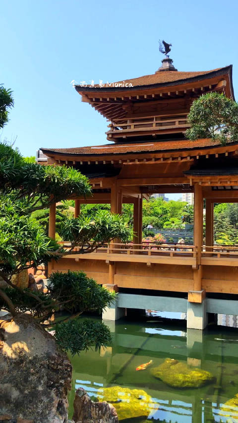 旅行vlog香港志莲净苑爱旅游