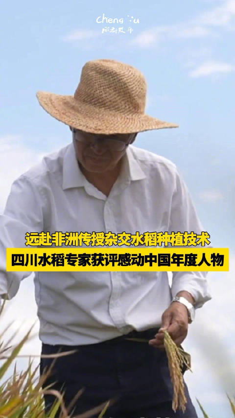 四川水稻专家获评感动中国年度人物