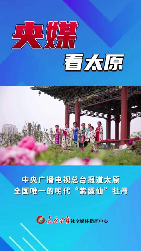 央媒看太原中央广播电视总台报道太原全国唯一的明代紫霞仙牡丹