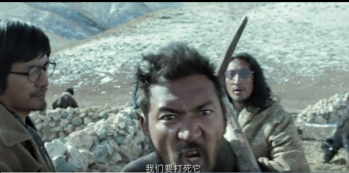 雪豹|金巴|喇嘛_新浪新闻