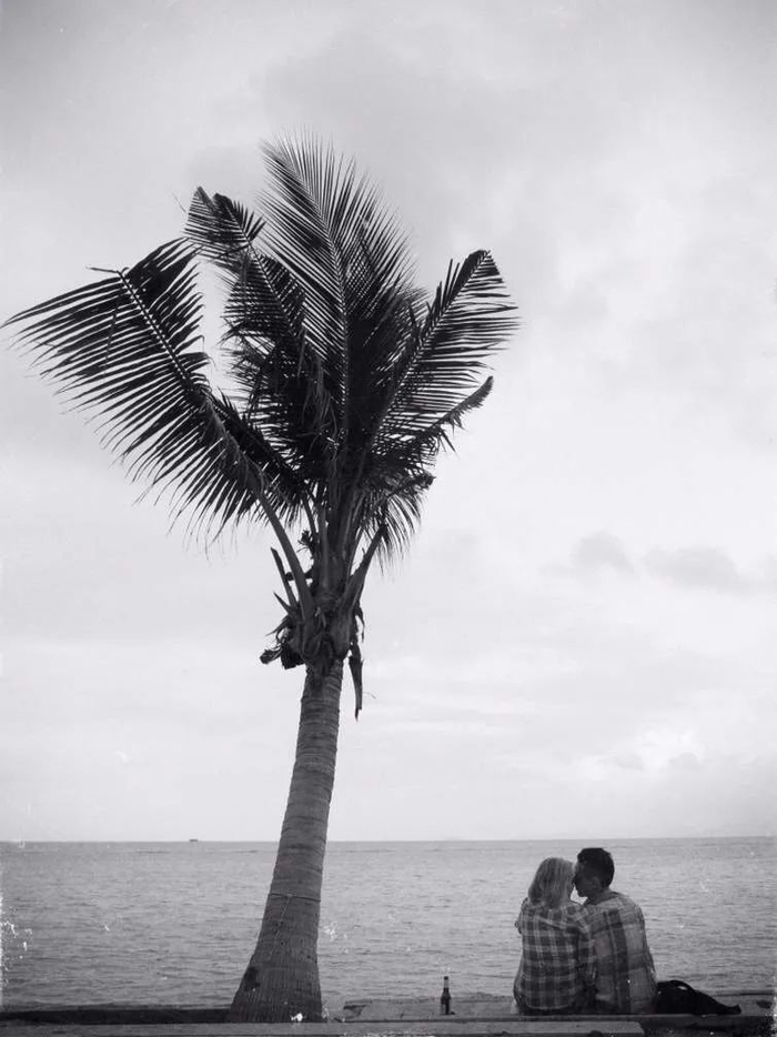 环游世界后,东莞90后小哥回虎门,在村里花50万开了